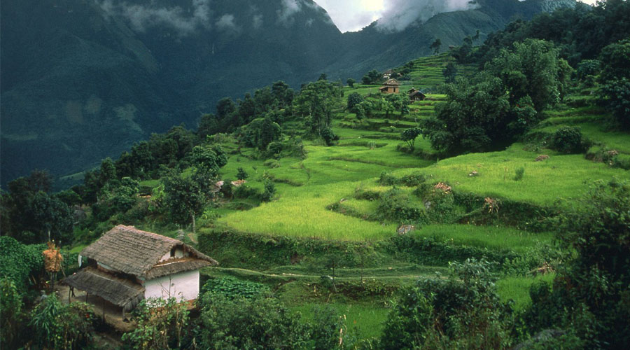 Arun Valley Trekking